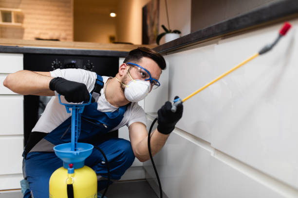 Best Termite Control Services  in Marion, KY