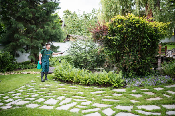 Best Local Pest Control Services  in Marion, KY