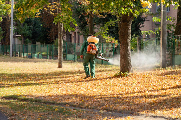 Best Spider Control Near Me  in Marion, KY