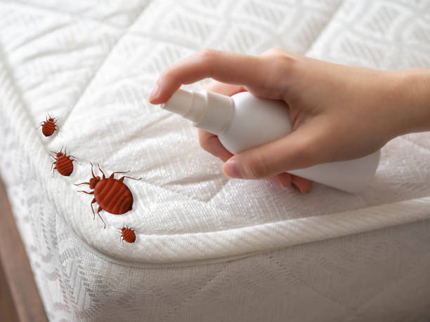 Best Pest Removal Services  in Marion, KY